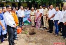 स्वातंत्र्याच्या अमृत महोत्सवाचा जागर’या अंतर्गत श्री. गो. से. हायस्कूल, पाचोरा येथे विविध स्पर्धांचे व वृक्षारोपण चे आयोजन करण्यात आले
