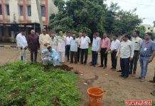 एस एस एम एम महाविद्यालयात वृक्षरोपणाचा कार्यक्रम संपन्न