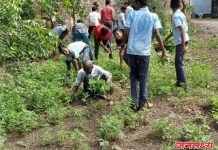 नवजीवन विद्यालय एक तास श्रमदान या उपक्रमाचे आयोजन संपन्न