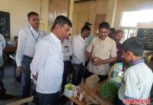 सौ.सिंधुताई पंडितराव शिंदे, प्राथमिक शाळेत विज्ञान दिन मोठ्या उत्साहात