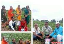 पाचोऱ्यात एक झाड आई-वडिलांच्या नावाने आई वडिलांच्या स्मृतिदिना निमित्त ( खर्चे ) पाटील परिवाराकडून वृक्षरोपण