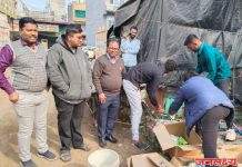 जळगावात दुध व दुग्धजन्य अन्नपदार्थाचा मुदतबाहय साठा नष्ट ; अन्न व औषध प्रशासनाची धडक कारवाई