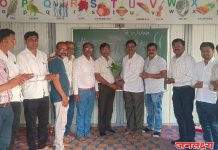 पाचोरा तालुका कलाध्यापक संघ कार्यकारणी जाहीर