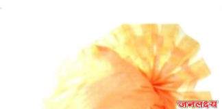 ज्ञानेश्वर प्रल्हाद पाटील पगार यांना युवा प्रगतशील शेतकरी पुरस्काराने गौरविण्यात येणार