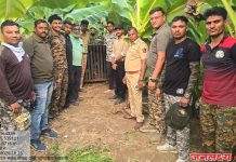 यावल तालुक्यातील डांभुर्णी शिवारात दोन वर्षांच्या चिमुरडीला बिबट्याने उचलून नेऊन ठार केल्यानंतर अखेर वनविभागाच्या तातडीच्या कारवाईत बिबट्याला जेरबंद करण्यात यश