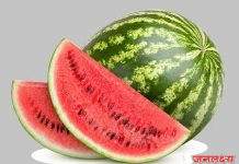 क्रुत्रिमरित्या पिकविलेल्या विषारी टरबुजामुळे तिसगावातील बालकाचा म्रुत्यु,अन्न भेसळ आणि औषध प्रशासनाने टरबुज विक्रेत्यांवर कारवाई करण्याची मागणी