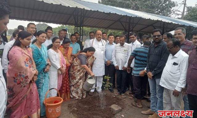 पाचोऱ्यात सेवा पंधरवडा निमित्त भाजपा शहरतर्फे वृक्षरोपण