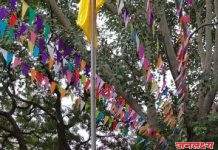 कवी कुलगुरू कालिदास संस्कृत विद्यापीठाचा 28 वा वर्धापन दिन उत्साहात साजरा