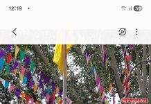 कवी कुलगुरू कालिदास संस्कृत विद्यापीठाचा 28 वा वर्धापन दिन उत्साहात साजरा