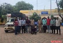 जनावर चोरी व अवैध कत्तल प्रकरणाचा पर्दाफाश — ५० लाखांचा मुद्देमाल जप्त, एक अटक