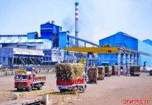 उस तोडताना शेतकऱ्यांची आर्थिक पिळवणूक केल्याचे आढळून आल्यास सदर रक्कम मजूर,मुकादम, किंवा वाहतूक कंत्राटदार यांच्या बीलातून वसुल करणार : साखर आयुक्त डॉ संजय कोलते यांचा साखर कारखान दारांना इशारा