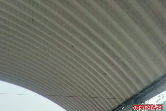 राज्यस्तरीय कुस्ती स्पर्धेत गोपीचंद पुना पाटील,विद्यालय तथा कनिष्ठ महाविद्यालयाचा स्वराज चौधरी यास रौप्यपदक…!!!!!!