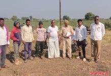 पाथर्डी तालुक्यातील मीरी,कासार पिंपळगाव, तिसगाव जिल्हा परिषद गटात वाघांचा धुमाकूळ,वन अधिकारी हतबल,वाघांचा बंदोबस्त करण्याची नागरीकांची मागणी