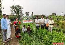 पाचोरा तालुकास्तरीय परसबाग स्पर्धेत सातगाव तांडा शाळा प्रथम