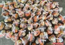 नगरदेवळा येथे रमजान निमित्त अल खिदमत फाउंडेशनचा सामाजिक उपक्रम – ३० दिवस रोजेदारांसाठी दररोज इफ्तार साहित्याचे मोफत वाटप