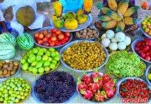 टरबुजाने मार खाल्ला अन् लिंबाने भाव खाल्ला