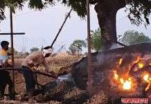 अचानक लागलेल्या आगीत अंजनाई गोशाळेचा चारा व साहित्य जळून खाक