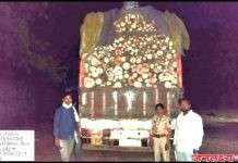 सोयगाव तालुक्यात अवैध लाकूड वाहतूक पकडली; ट्रकसह माल जप्त