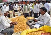 पिंपळगाव रेणुकाई येथे मका खरेदीत व्यापाऱ्यांची लूट; शेतकऱ्यांचा संताप उफाळला