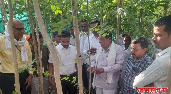 जामनेर तालुक्यातील पानमळ्यांची जिल्हाधिकाऱ्यांनी केली पाहणी